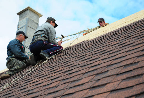 Best Roof Leak Repair  in Peru, IN